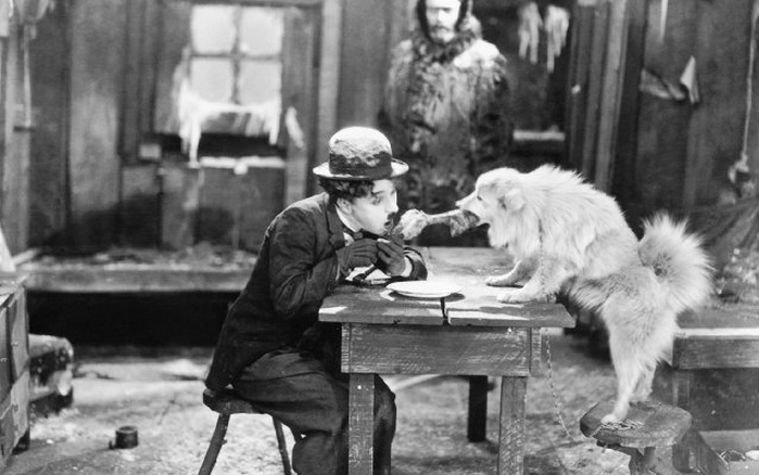 gold-rush-chaplin-dog